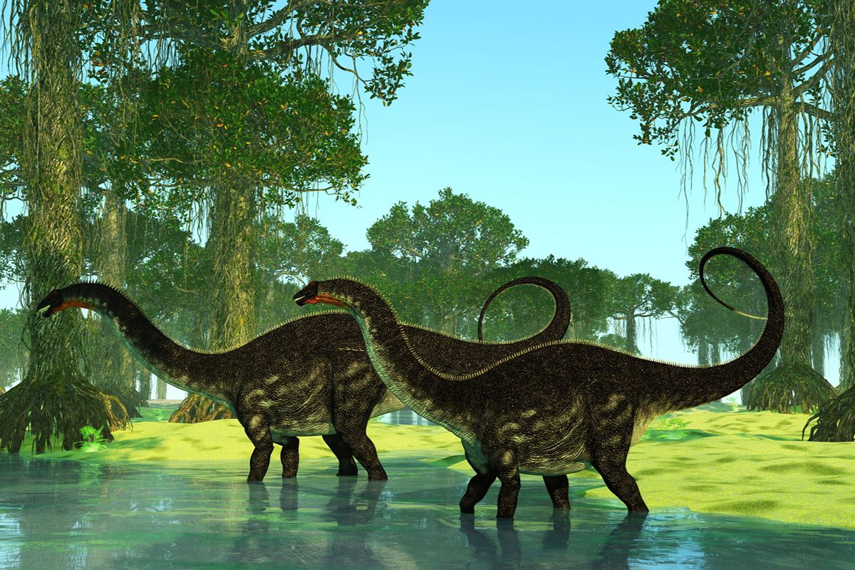 Long Neck Dinosaur Names and Pictures