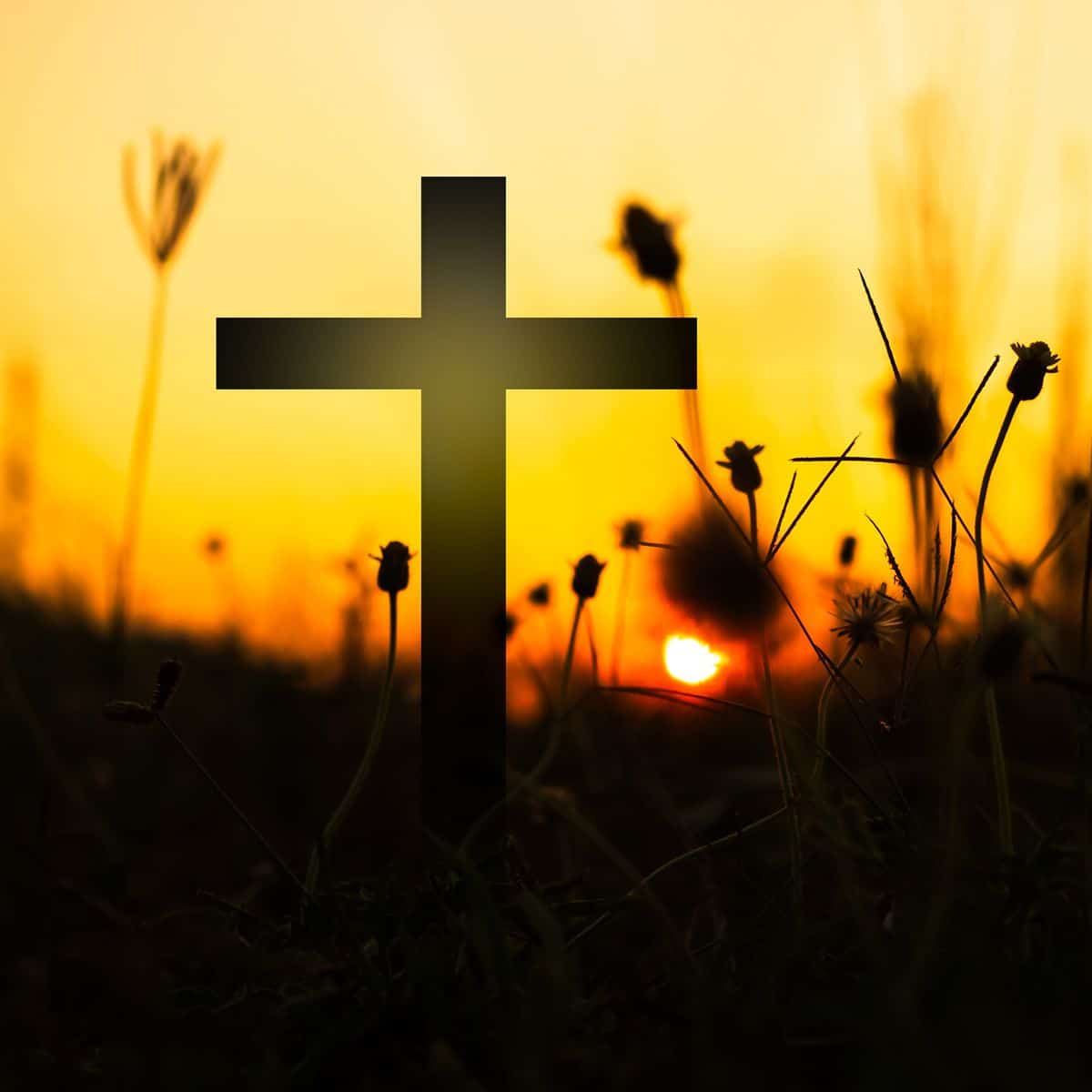 The Names of God • An Essential List of 200