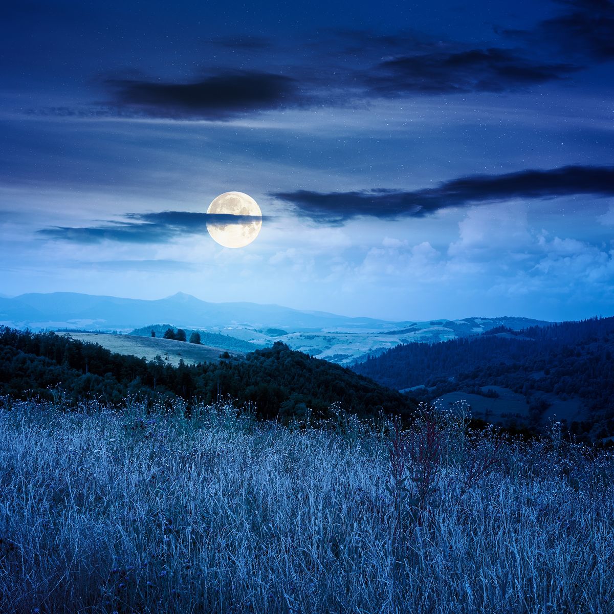 Dark Fantasy Character Name Generator (Female & Male)