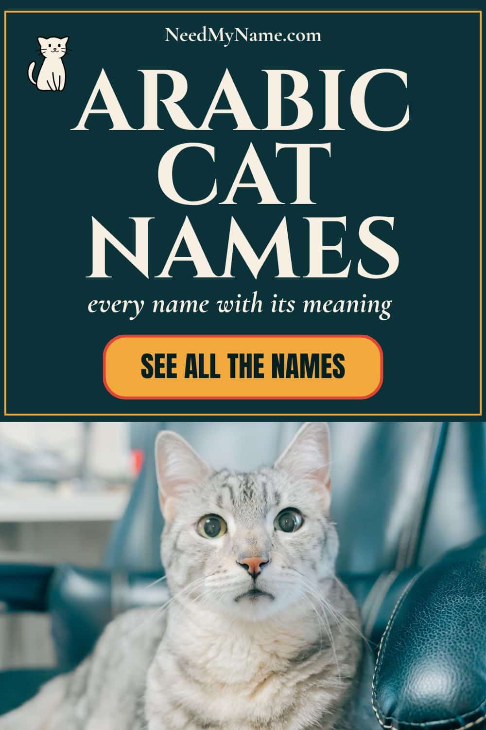 arabic cat names origins